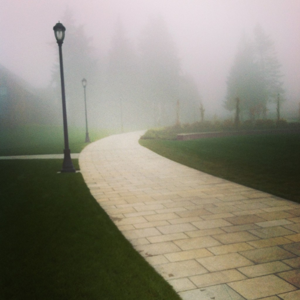 It was a VERY foggy morning this morning!