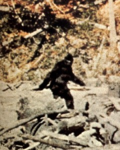 Bigfoot