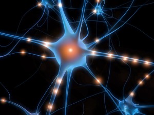 Neuron