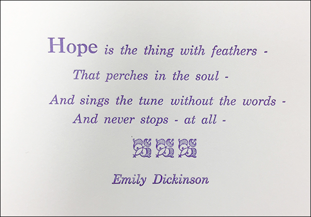 Hope is the thing with feathers - (Brasil, 2019) - Emily