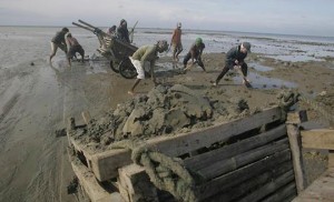 http://archive.indianexpress.com/news/durga-shakti-nagpaleffect-ngt-bans-sand-mining-across-india-but-conditions-apply/1151408/