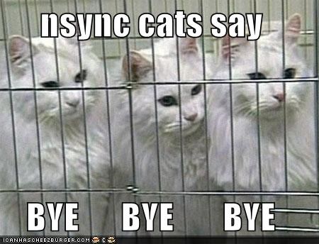 cat bye