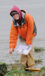 Mary Krauszer placing "lard-stars" (dough model sea stars) at Point Defiance for gull predation trials. 