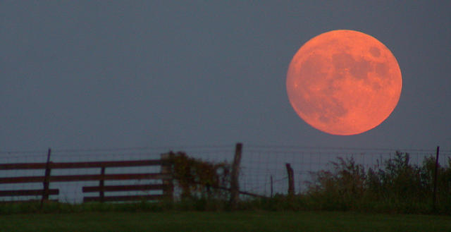 harvest-moon_4