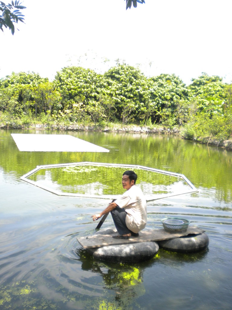 Collecting algae to feed the fish
