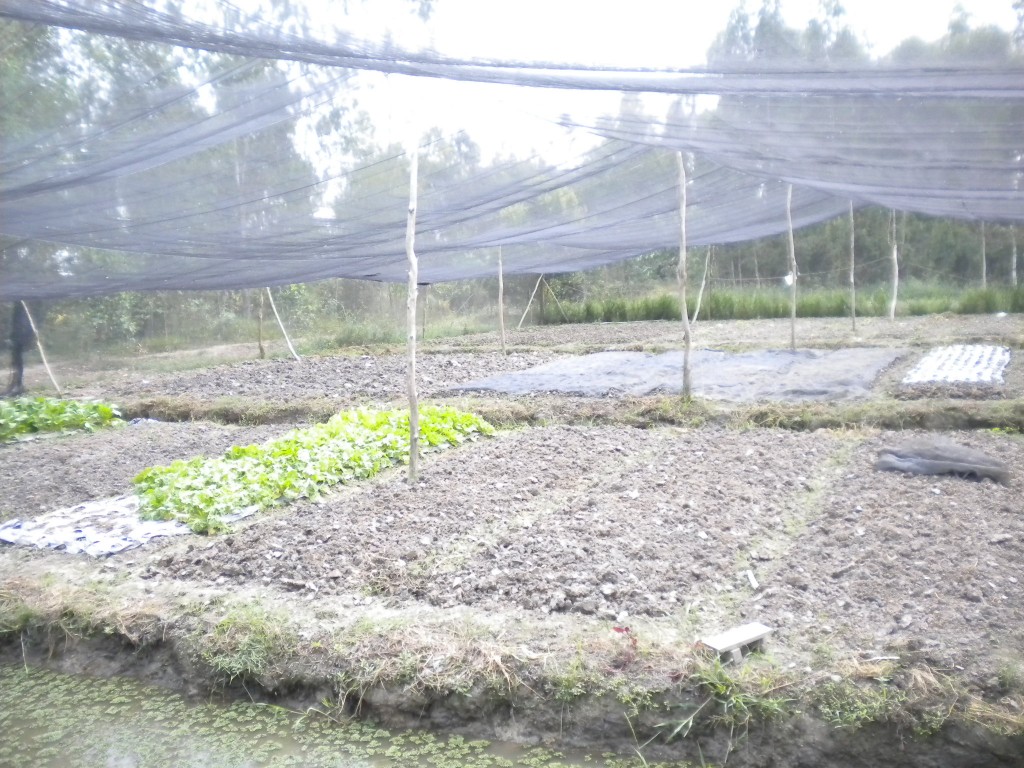 Small, organic farm