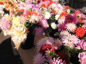 flowers from the sunday morning market