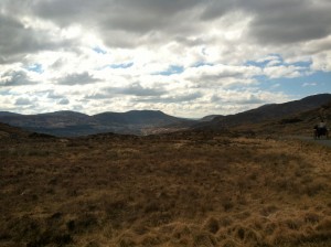 Killarney landscape