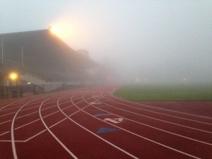morning mist- track