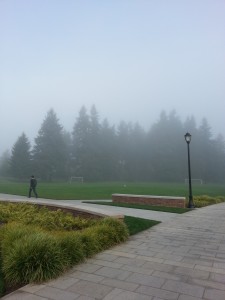 Oh, fog. How can I count the ways I love thee?