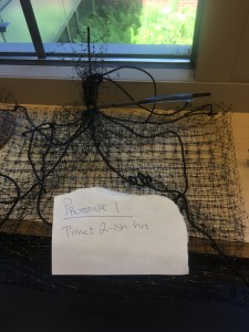 The first prototype of the bags that are going to be used to hang the bryophyte samples. Super over-complicated, as per usual. 